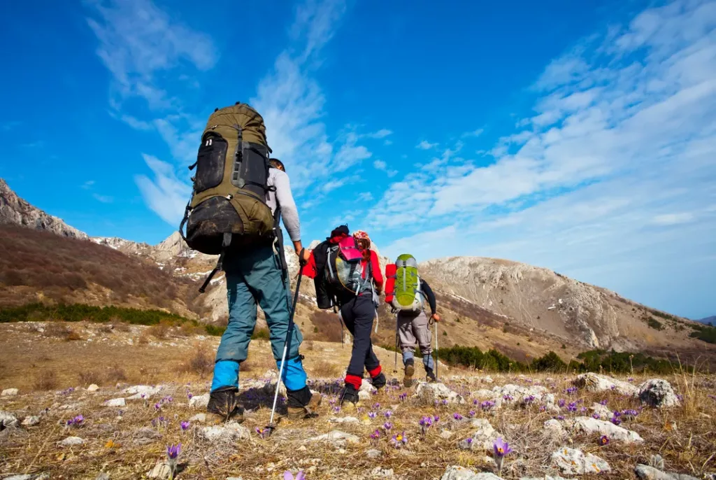 sprzęt trekkingowy