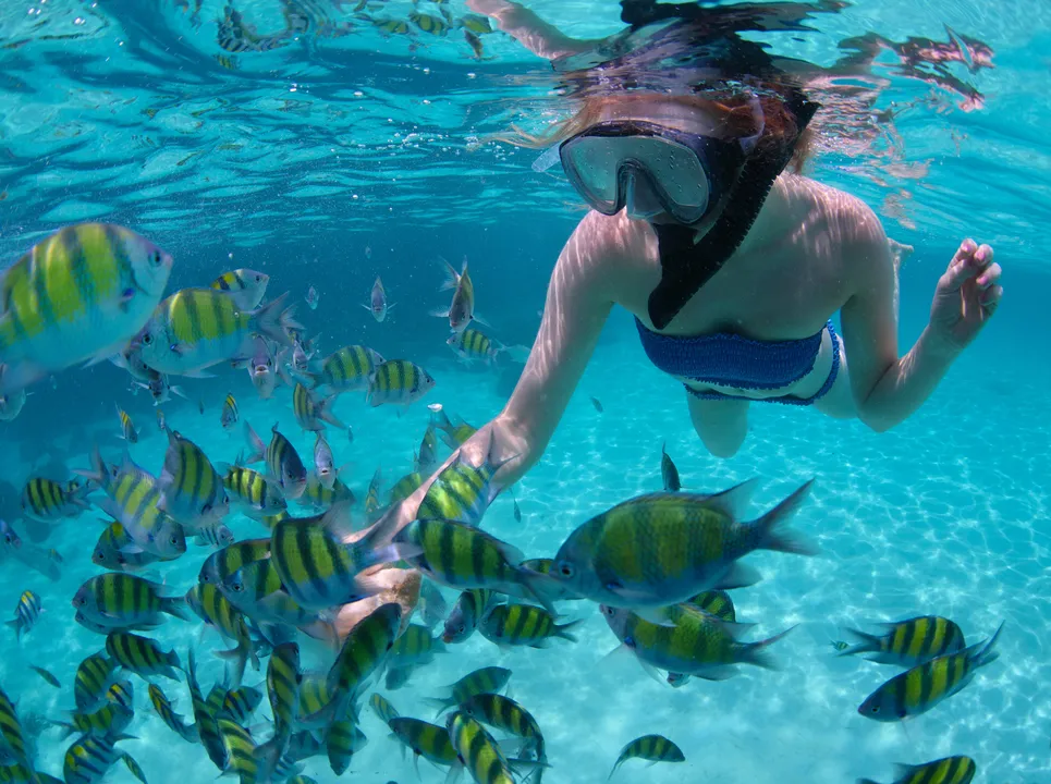 maska do snorkelingu