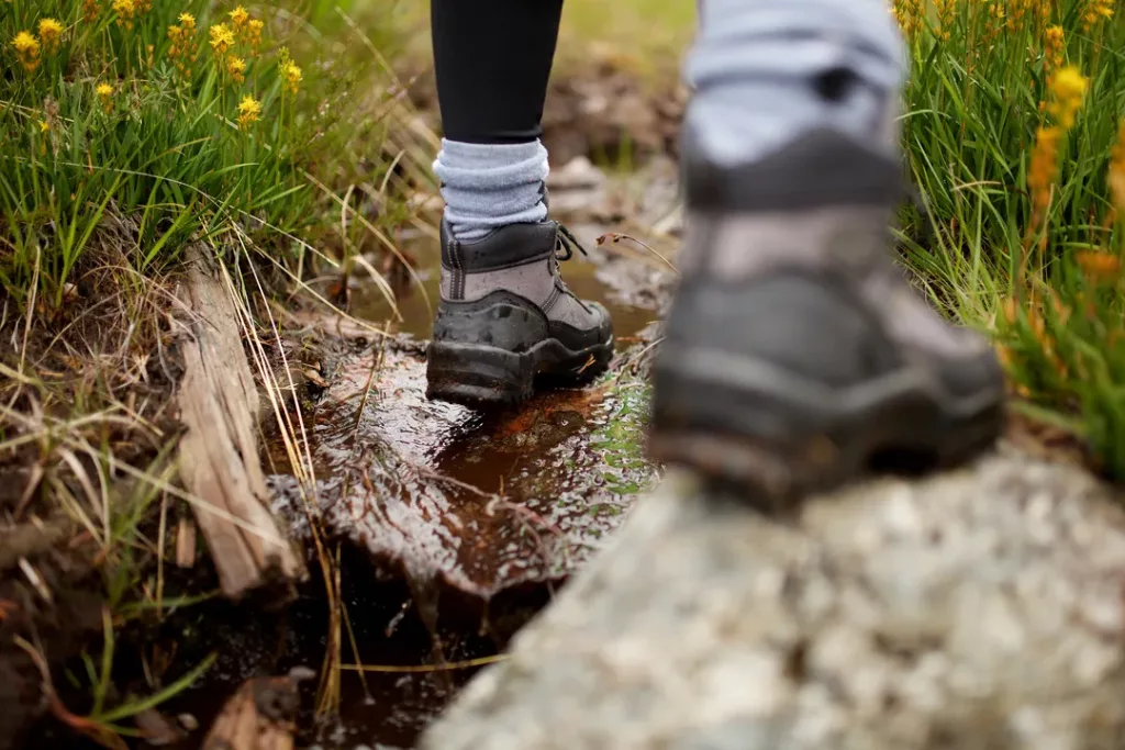 spodnie na trekking