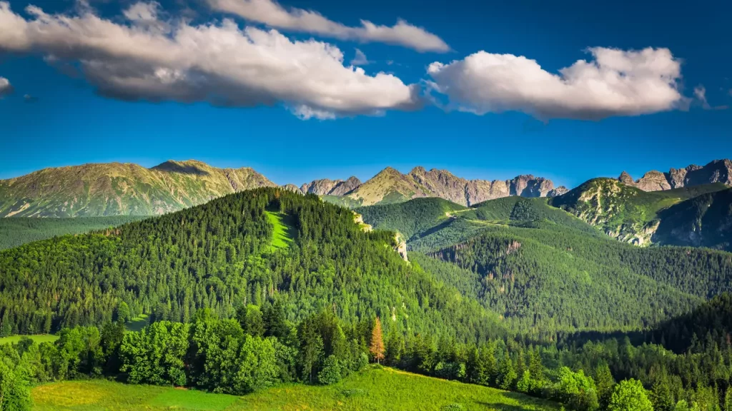 wakacje w górach czy nad morzem