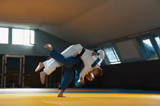 kolory pasów w judo