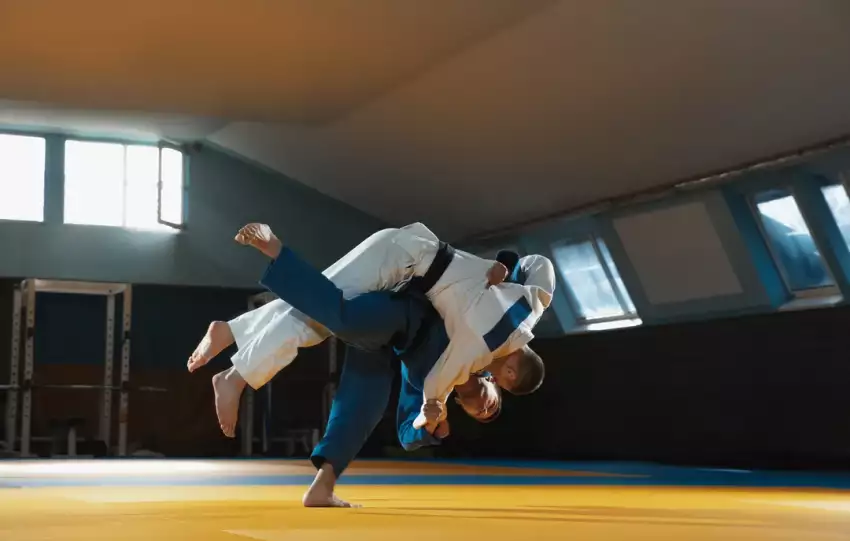 kolory pasów w judo