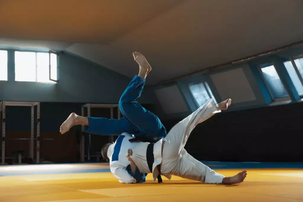 pasy w judo