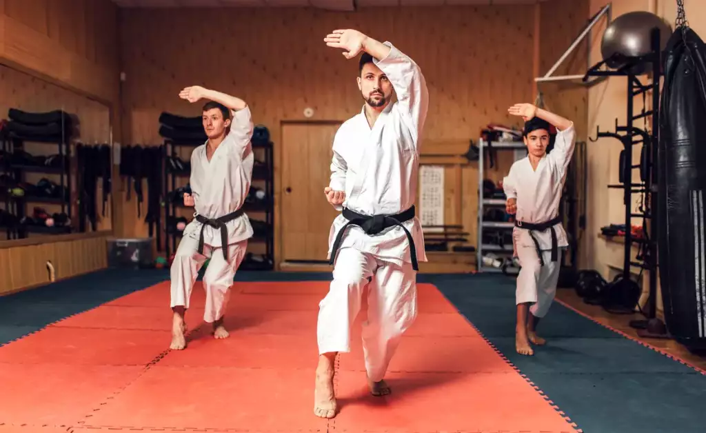 kolory pasów w karate