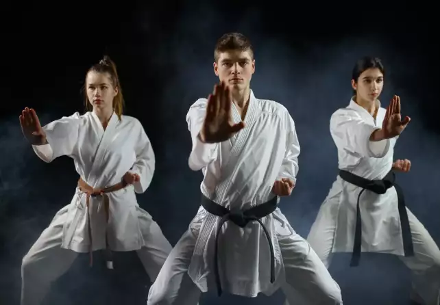 jakie są pasy w karate