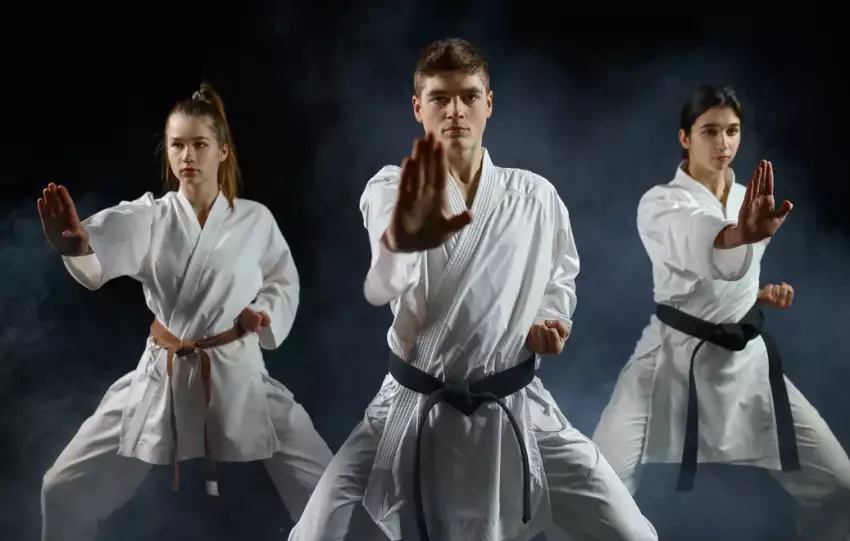 jakie są pasy w karate